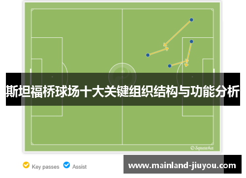 斯坦福桥球场十大关键组织结构与功能分析