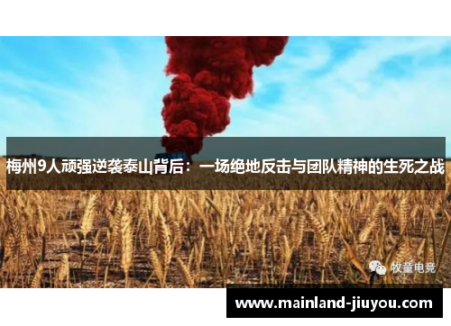 梅州9人顽强逆袭泰山背后:一场绝地反击与团队精神的生死之战 梅州9人顽强逆袭泰山背后:一场绝地反击与团队精神的生死之战